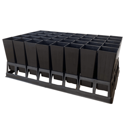 40-Cell Forestry Tube Tray with 50mm Native/Forestry Tube Stock Pots