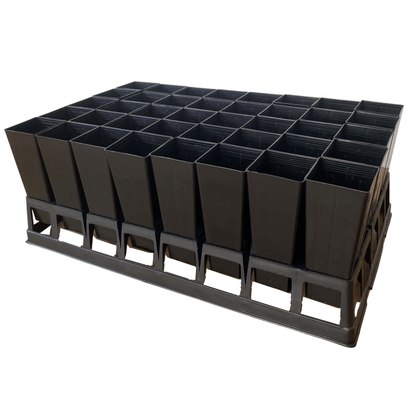 40-Cell Forestry Tube Tray with 50mm Native/Forestry Tube Stock Pots