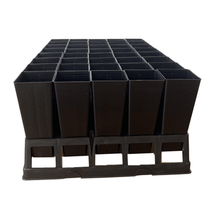 40-Cell Forestry Tube Tray with 50mm Native/Forestry Tube Stock Pots