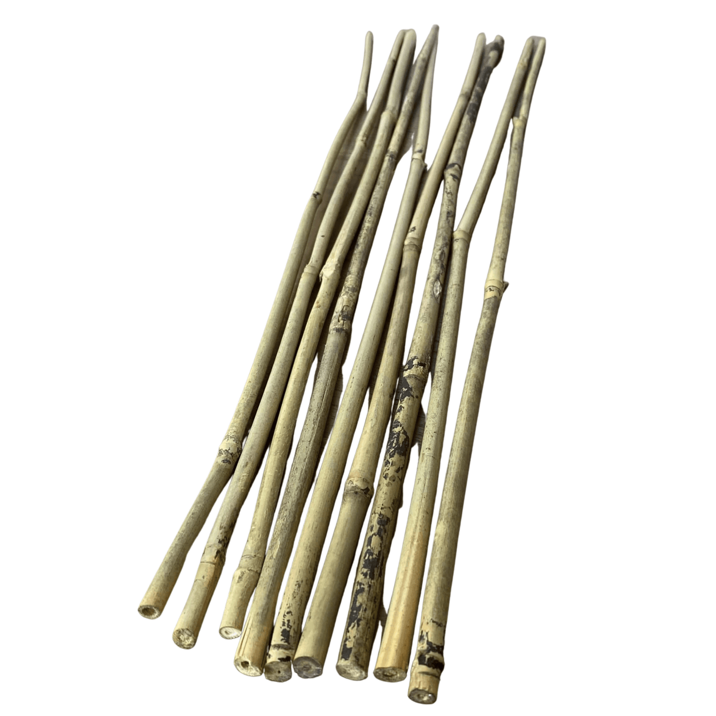 Plastic Tree Guards with Bamboo Stakes