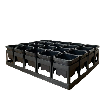 20-Cell Air Pruning Tray with 63mm Plastic Pots